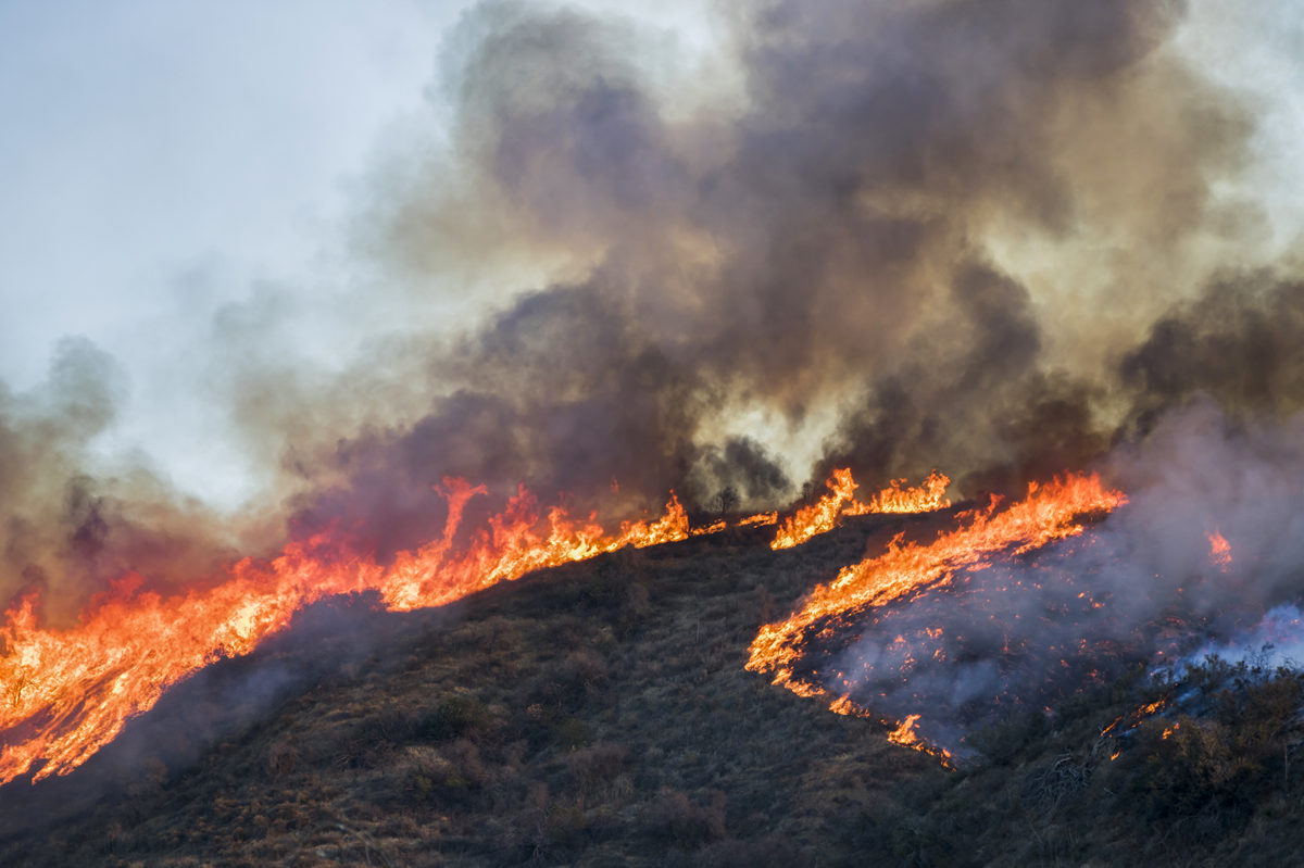 ¡Mayo es el Mes Nacional de Concientización sobre los Incendios Forestales!